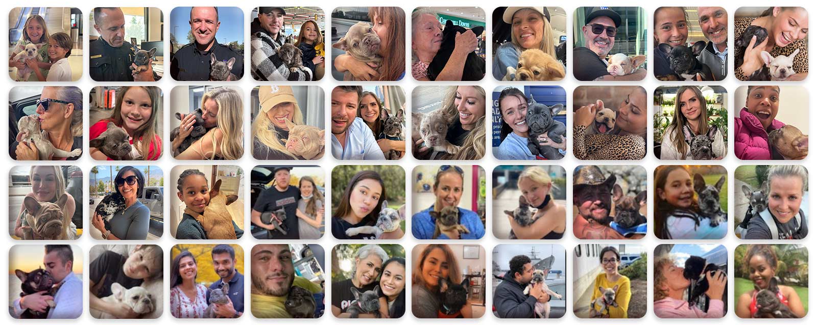 Happy TomKings families with their French Bulldog puppies